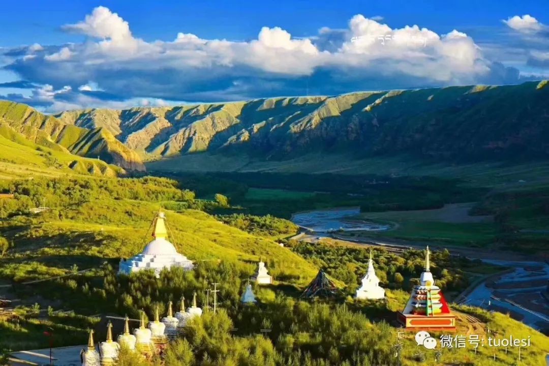 图片 40.jpg