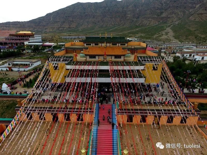 图片 66.jpg