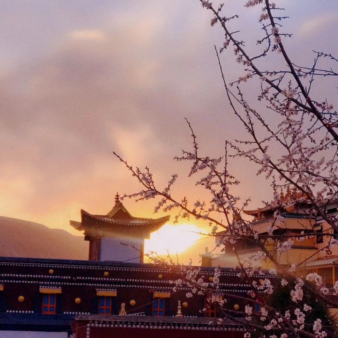 春天的高原胜景.jpg